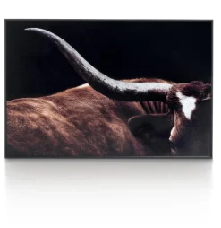 Coco Maison Schilderij Rodeo 120x80cm Sale