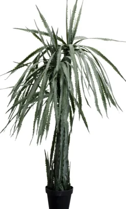 Kare Design Kunstplant Dracaena 155cm Online