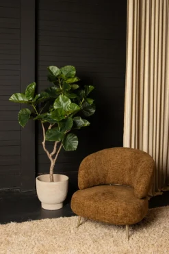 PTMD Kunstplant Ficus S