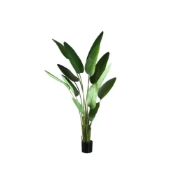 PTMD Kunstplant Strelitzia Real Touch L Discount